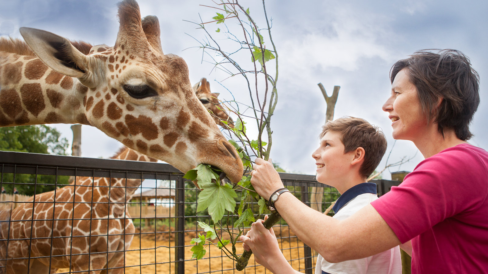 Meet The Animals At ZSL Whipsnade Zoo | Zoological Society of London (ZSL)
