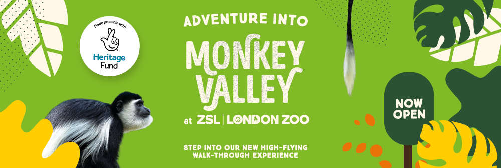 Adventure into Monkey Valley at ZSL London Zoo