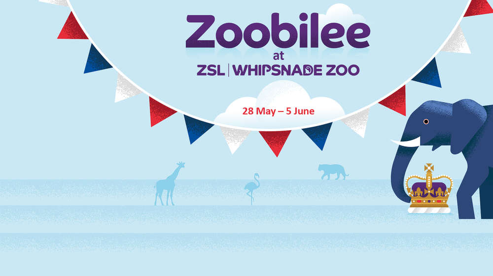 Zoobilee at ZSL Whipsnade Zoo