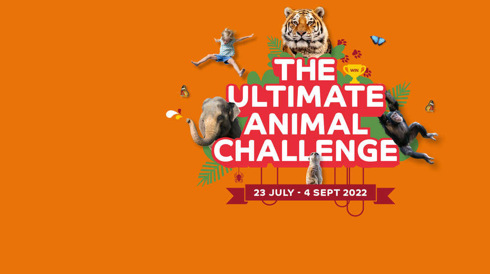 The Ultimate Animal Challenge at ZSL Whipsnade Zoo