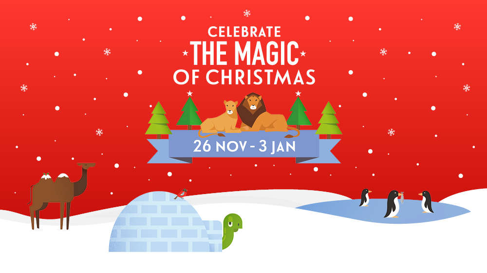 Celebrate the Magic of Christmas, 26 Nov - 3 Jan