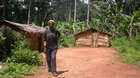 Wildlife Wood Project -  A woman in a clearing in the forest - Cameroon, Africa - Description