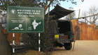 To truly capture the essence of the lions’ forest home, the Zoo’s designers visited Gujarat in India for inspiration.