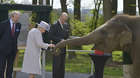 On 11 April HM The Queen, accomponied by HRH The Duke of Edinburgh, opened our brand new Centre for Elephant Care before feeding 7-year-old Donna.