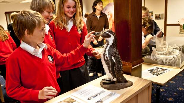 Education session at ZSL Whipsnade Zoo