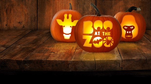 Boo at the Zoo - ZSL London Zoo