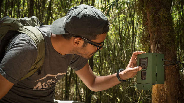 Esteban Brenes-Mora is an EDGE fellow working for wildlife in Costa Rica