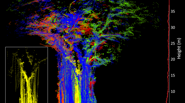 Observing ecosystems with lightweight, rapid-scanning terrestrial lidar scanners