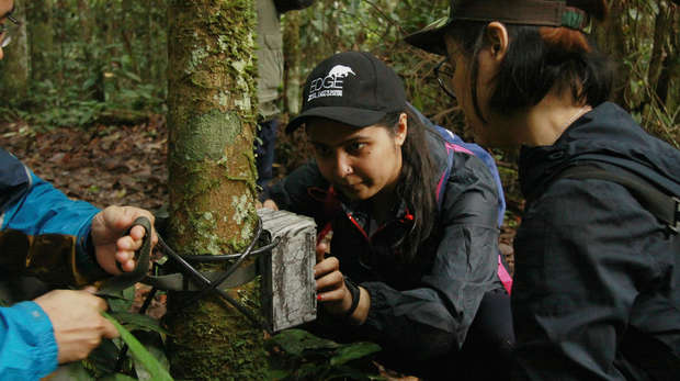 Photograph of EDGE Fellows attaching a camera-trap to a tree