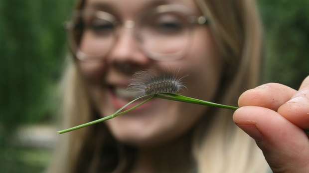 Heather Bellinger with a caterpillar during Family Nature Club at ZSL London Zoo