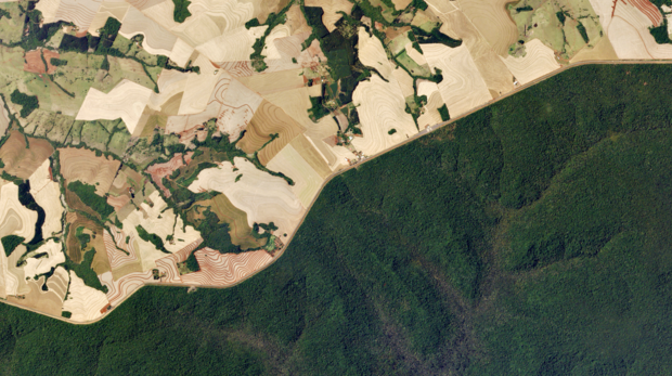 Satellite image of protected forest in the Amazon adjacent to converted agricultural land © Planet Labs