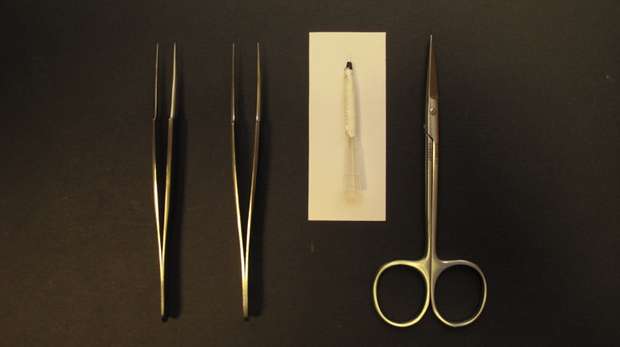 Dissecting tools