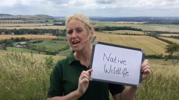 ZSL's online outreach - learning officer danielle hearn - native species 
