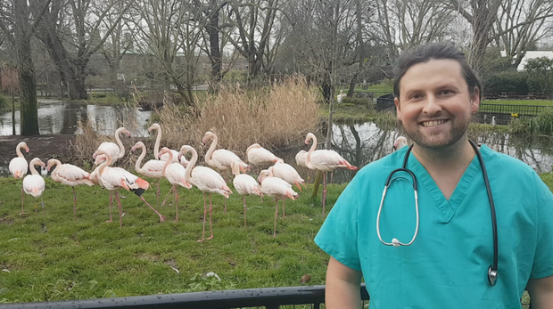 Presenter Ben with our flamingos in the background at ZSL London Zoo