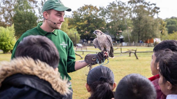 Bird demonstration at Whipsnade Zoo