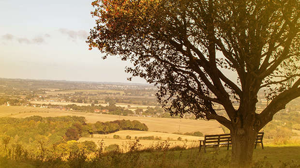 Views over the Downs at ZSL Whipsnade Zoo