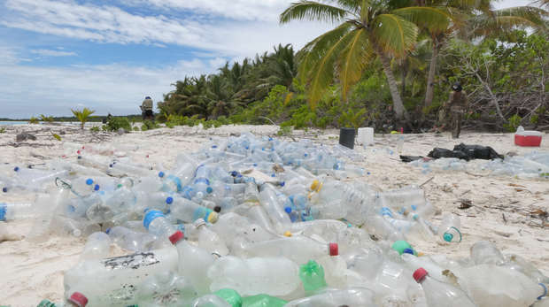 Plastic bottles on the beach in Cameroon © ZSL