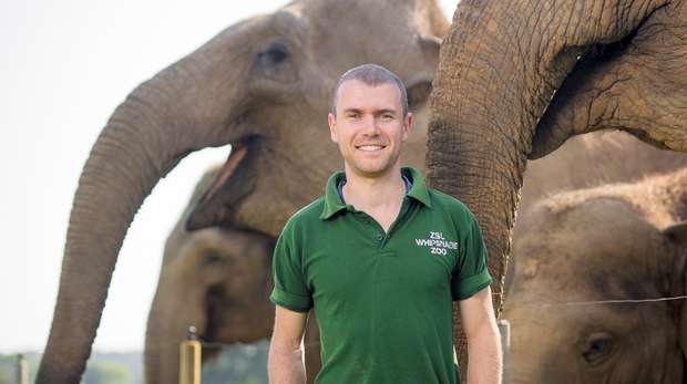 Keeper Mark with Whipsnade's Asian elephant herd