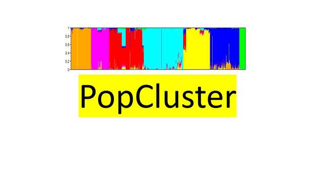 PopCluster Software