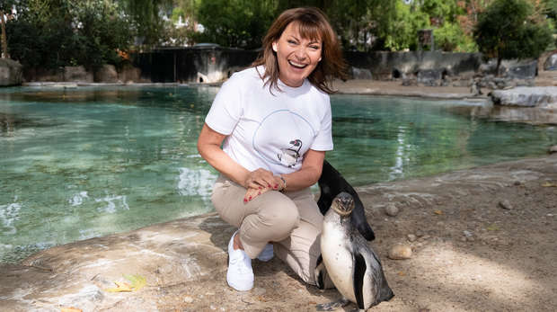 Lorraine Kelly at Penguin Beach wearing the t-shirt that she designed for ZSL
