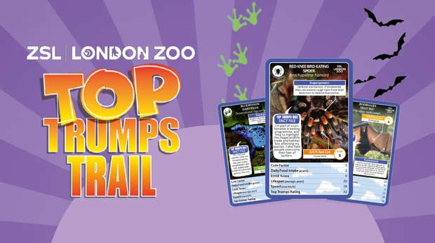 ZSL London Zoo Top Trumps Trail