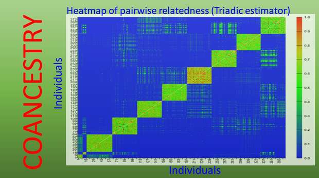 Coancestry software for estimating pairwise relatedness from marker genotype data