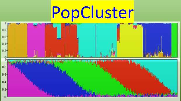 PopCluster software for estimating population structure from marker genotype data