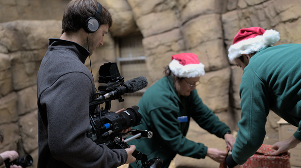A man films two keepers wrapping presents at London Zoo