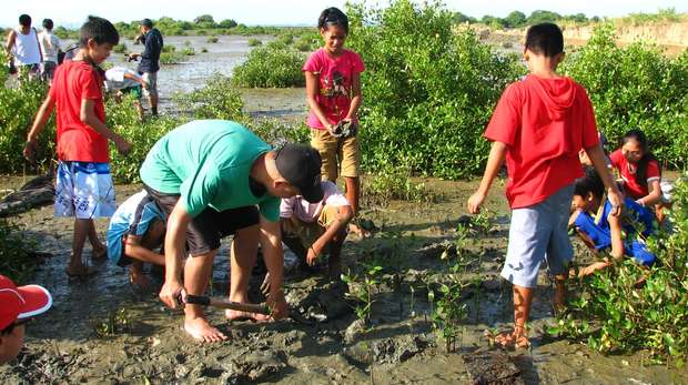 Mangrove outplanting activity with students in Nabitasan, Leganes