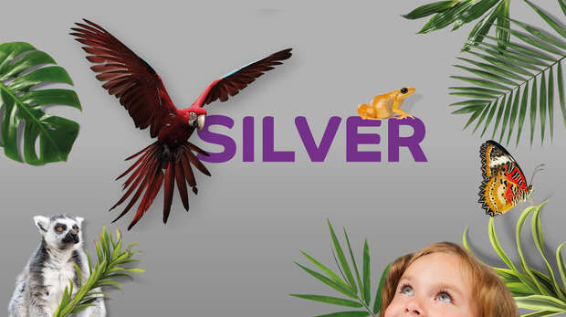 Silver word on grey background with animals