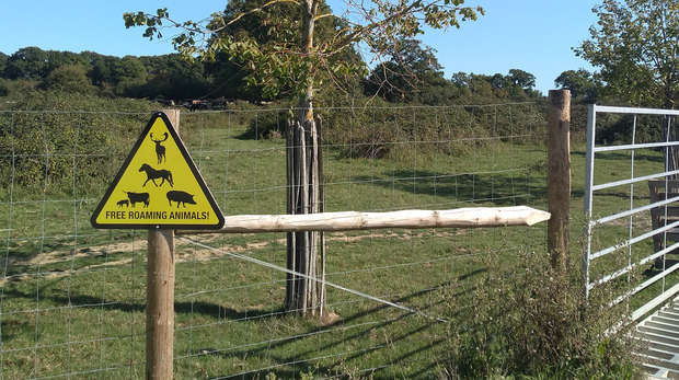 Image 1 1000x560 compressed more - A sign alerting visitors to Knepp Wildlands in Sussex to the large animals roaming the estate © Henrike Schulte to Bühne.jpg