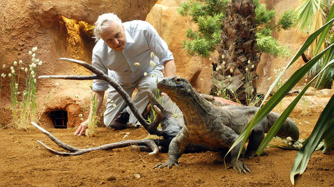 David Attenborough opens Komodo Dragon House at ZSL London Zoo