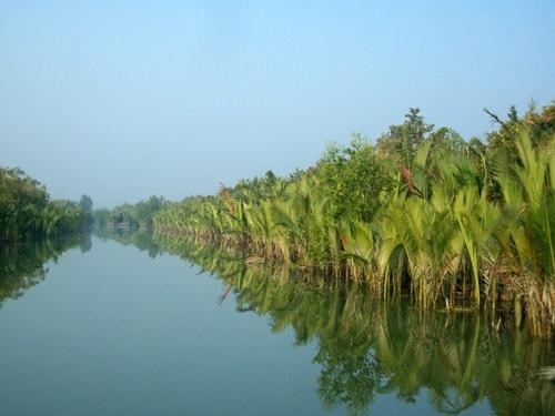 Sundarbans Mangroves ©Wildteam