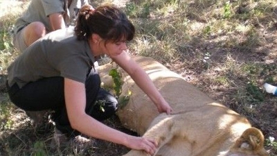 Celine Le Rochais - MSc in Wild Animal Health