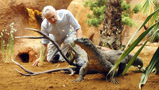 Komodo dragon with David Attenbrough at ZSL London Zoo