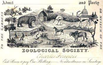Old ZSL London Zoo ticket from the ZSL Archives