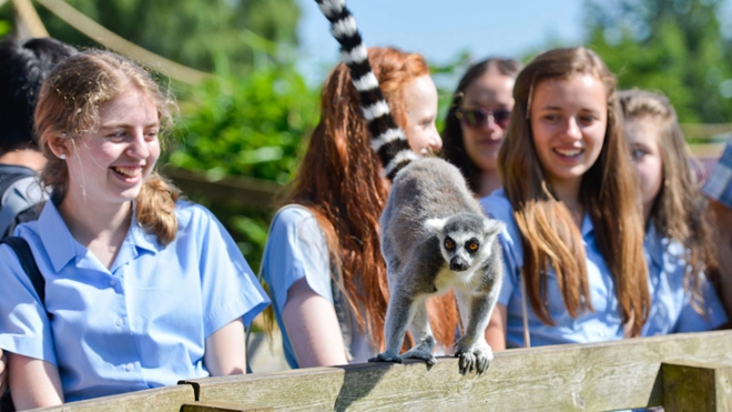 School visit to ZSL Whipsnade Zoo