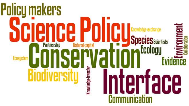 Conservation science-policy interface
