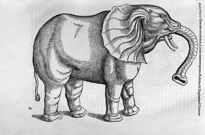 Elephant from Konrad Gessner's Historiae animalium