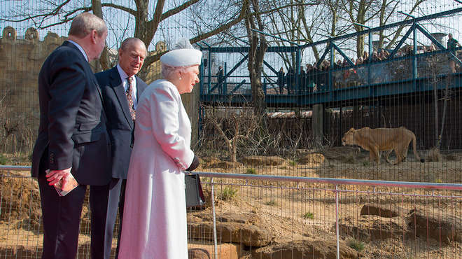 HM The Queen and HRH The Duke observing our Asiatic lions