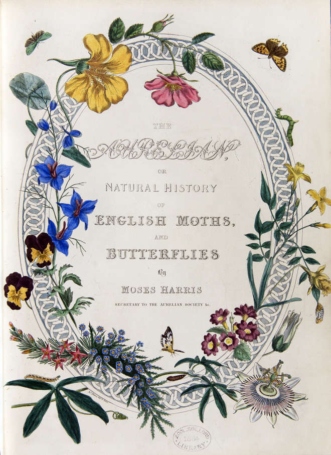 Decorative title page of the Aurelian, New ed. 1840