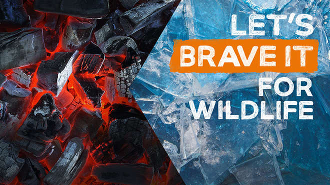 Walk of Fire and Ice at ZSL London Zoo