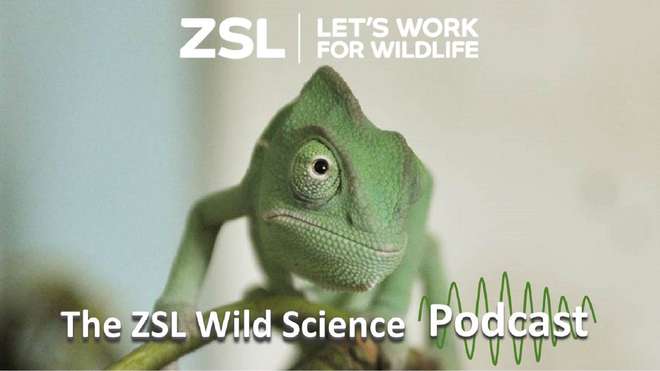 ZSL Wild Science Podcast logo