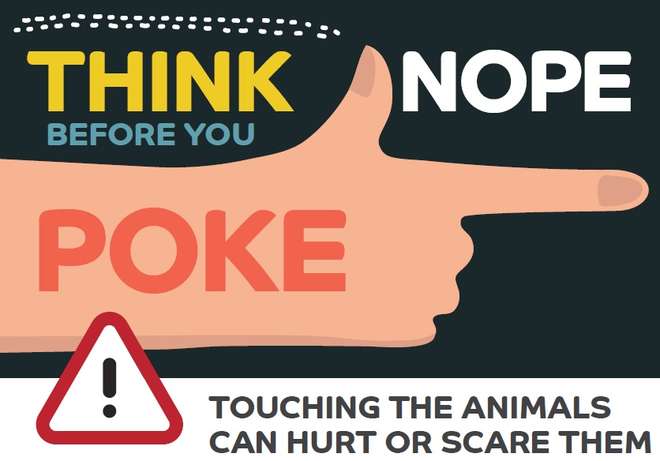 ZSL London Zoo uses humour to captivate visitors with new safety signage designs 