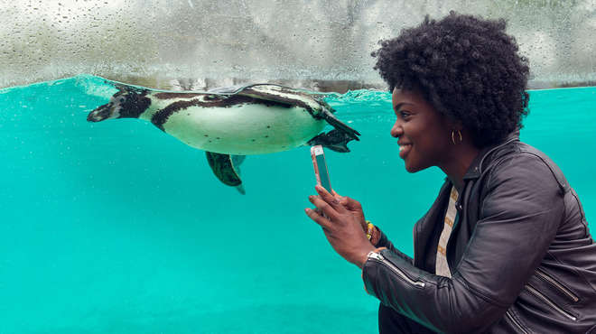 A lady taking a selfie at Penguin Beach