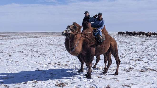 Photo - Two men, each riding a camel across the flat snow covered steppe in Mongolia