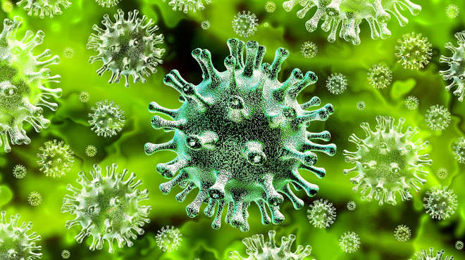 green graphic image of coronavirus