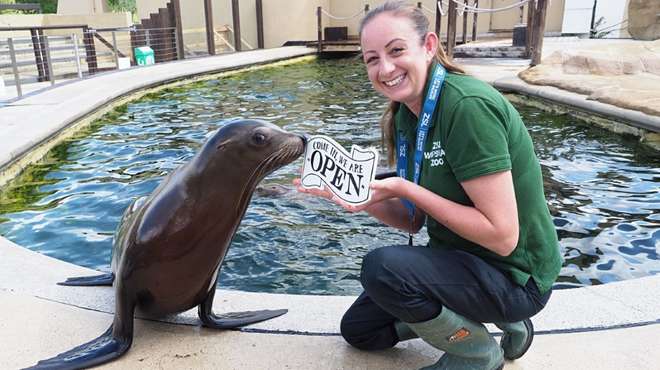 Zookeeper Alex Pinnell with a sea lion at the re-opening of ZSL Whipsnade Zoo
