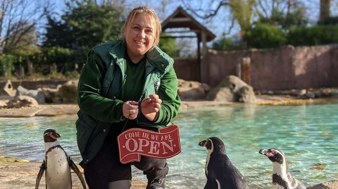 Penguin keeper Zuzana Boumrah celebrates London Zoo's reopening on 2 December