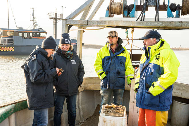 Four people who work with ZSL's oysters project standing on a boat looking at an oyster